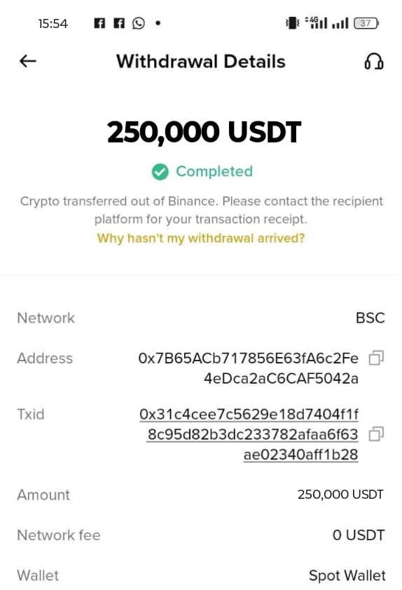 Verified Flash USDT transaction